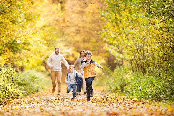 Beautiful young family on a walk in autumn forest. - Stock Photo - Images