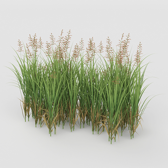 Grass Bush - 3Docean 20755217