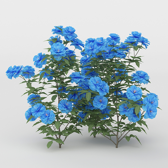 Blue Daisies Flower - 3Docean 20755269