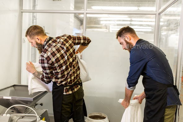 men with malt bags and mill at craft beer brewery - Stock Photo - Images