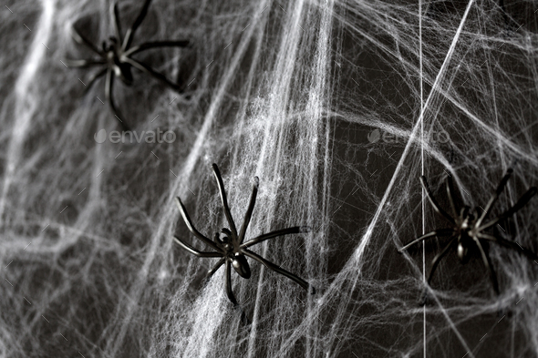 Halloween Decoration Of Black Toy Spiders On Web Stock Photo By