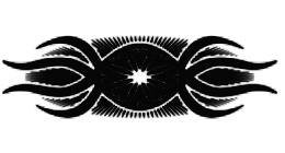 NewLineDesign