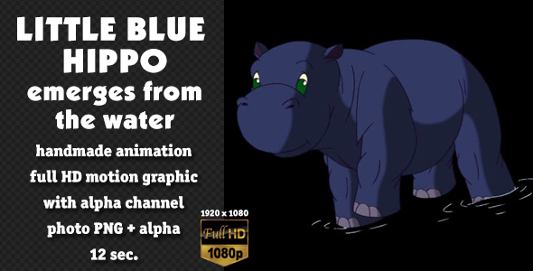 Little Blue Hippo Emerges from the Water alt