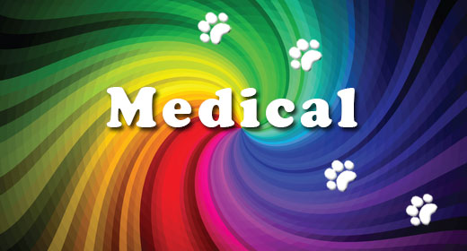 Medical