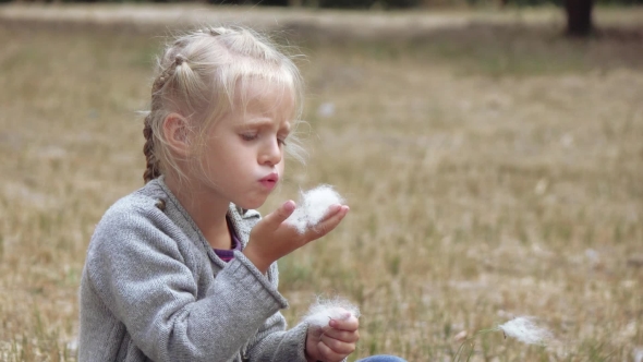 Girl Child Blowing Fluff of Bulrush