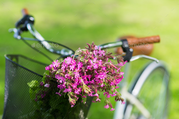 Fixie basket discount