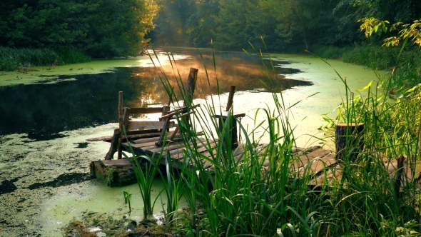 Old Fishing Pier on River