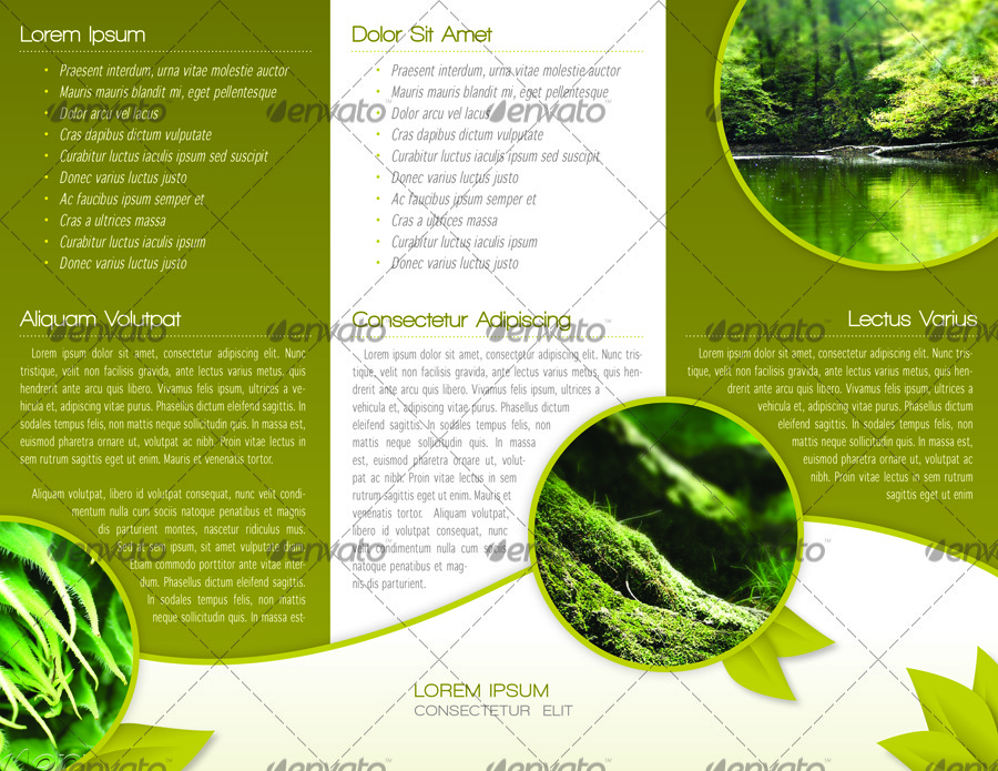 green trifold brochure indesign template by alvarocker graphicriver