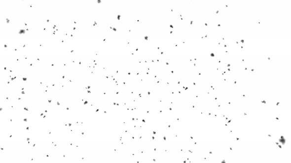 Ash From A Volcano Falls On A White Background, Alpha Channel