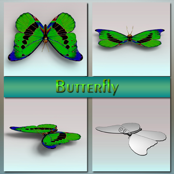 Butterfly - 3Docean 20783352