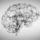 Brain - VideoHive Item for Sale