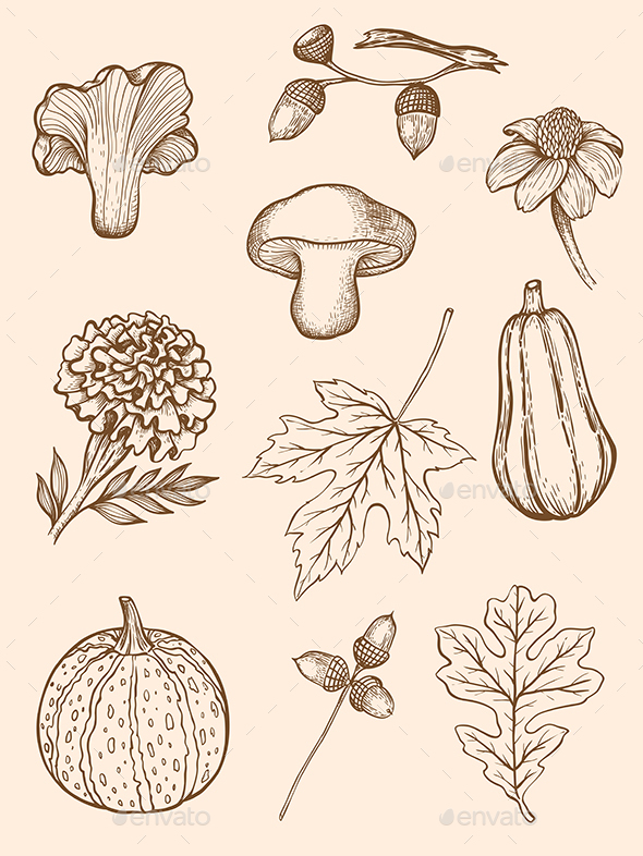 Autumn Design Kit - Flowers & Plants Nature