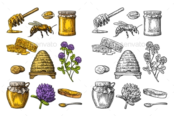 Honey Set - Flowers & Plants Nature