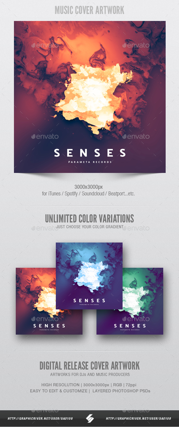 Senses - Music Album Cover Artwork Template - Miscellaneous Social Media
