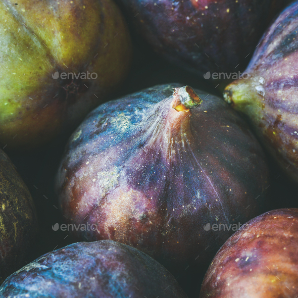 Close-up of fresh ripe seasonal purple figs. Food texture, background - Stock Photo - Images