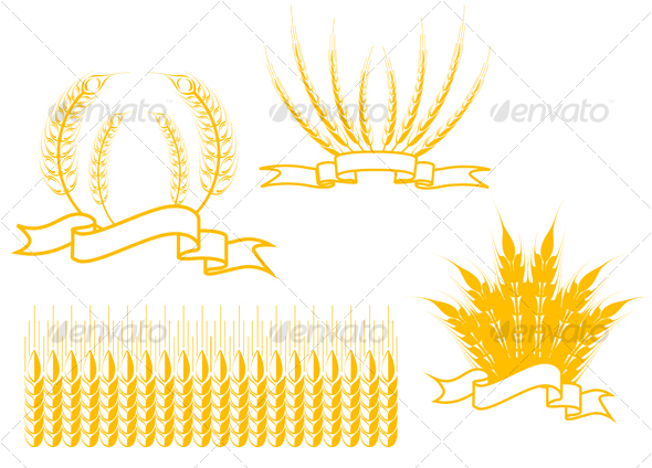 Cereal isolated on white as an agriculture symbols - Flowers & Plants Nature