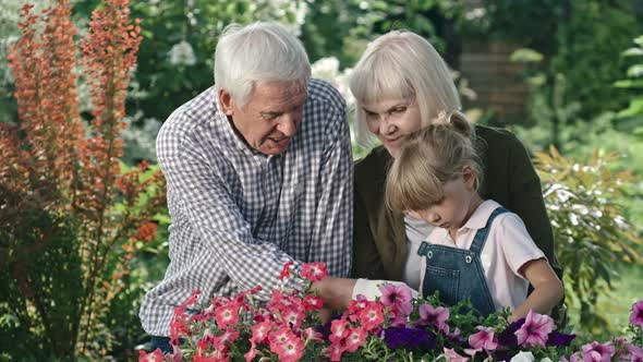 Elderly Couple and Girl Looking at Blooming Flowers alt