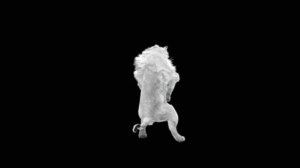 White Lion Dancing HD alt