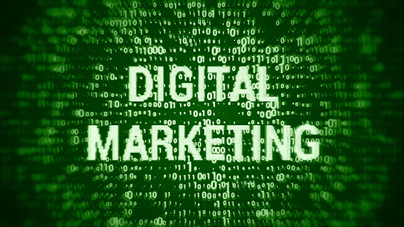 Digital Marketing (2 in 1)