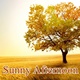 Sunny_Afternoon