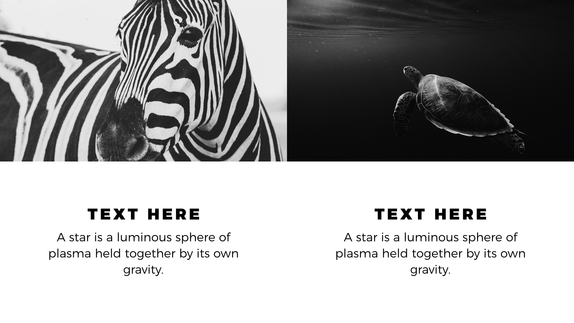 WhiteLight - Minimal Keynote Template