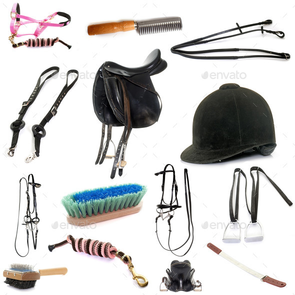 Equipments Of Horse Riding Stock Photo By Cynoclub | PhotoDune