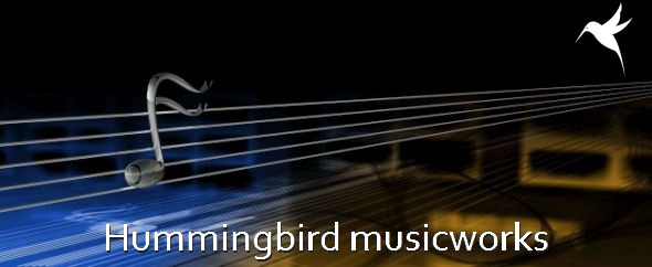 Hummingbird%20new%20format%20590%20242%20geschoond