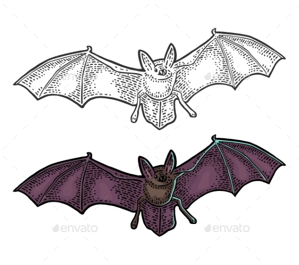 Bat Flying with Scary Face - Animals Characters