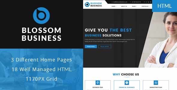 Marvelous Blossom - Professional Business HTML Template