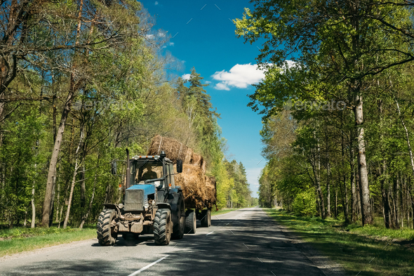 Tractor Is Carrying Hay On Cart. Tractor On Country Road Through - Stock Photo - Images