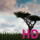 Grass Tree Sky - VideoHive Item for Sale