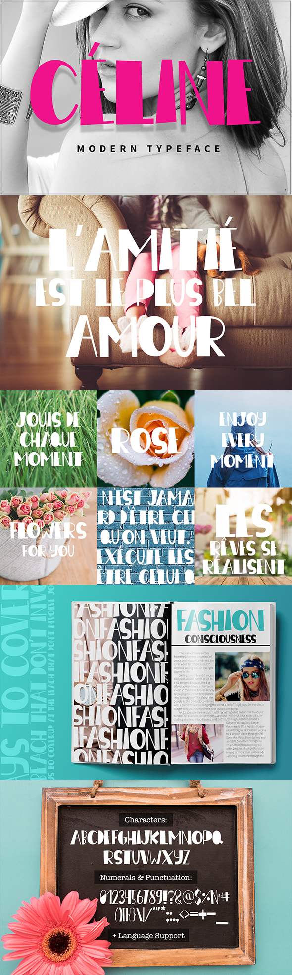 Céline Modern Typeface - Script Fonts