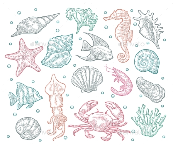 GraphicRiver Seamless Pattern Sea Animal 20815081 GraphicRiver Seamless Pattern Sea Animal 20815081