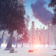 Beautiful Winter Forest - VideoHive Item for Sale