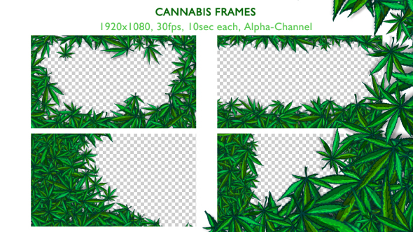 Cannabis Frames, Motion Graphics | VideoHive