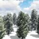 Winter Forest - VideoHive Item for Sale