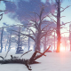 Frozen Forest with Snow - VideoHive Item for Sale