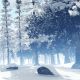 Beautiful Snowy Jungle - VideoHive Item for Sale