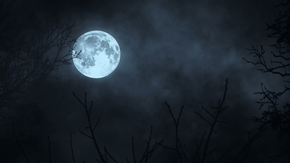 Mystic Spooky Scary Tree Silhouette, Motion Graphics | VideoHive