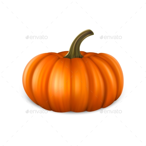 Realistic Pumpkin Icon Closeup Isolated on White