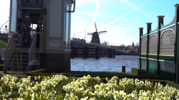 Old Windmills with Tulips near Water in Zanse Schans Autumn Day