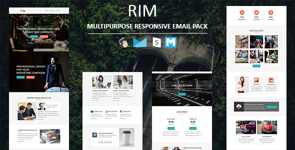 Rim - Multipurpose - ThemeForest 20823836