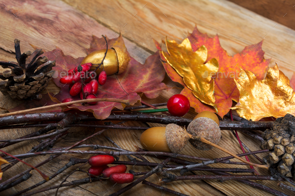 Thanksgiving background with acorns, golden and colorful maple l - Stock Photo - Images