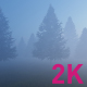 Torsion Among The Firs in The Fog - VideoHive Item for Sale