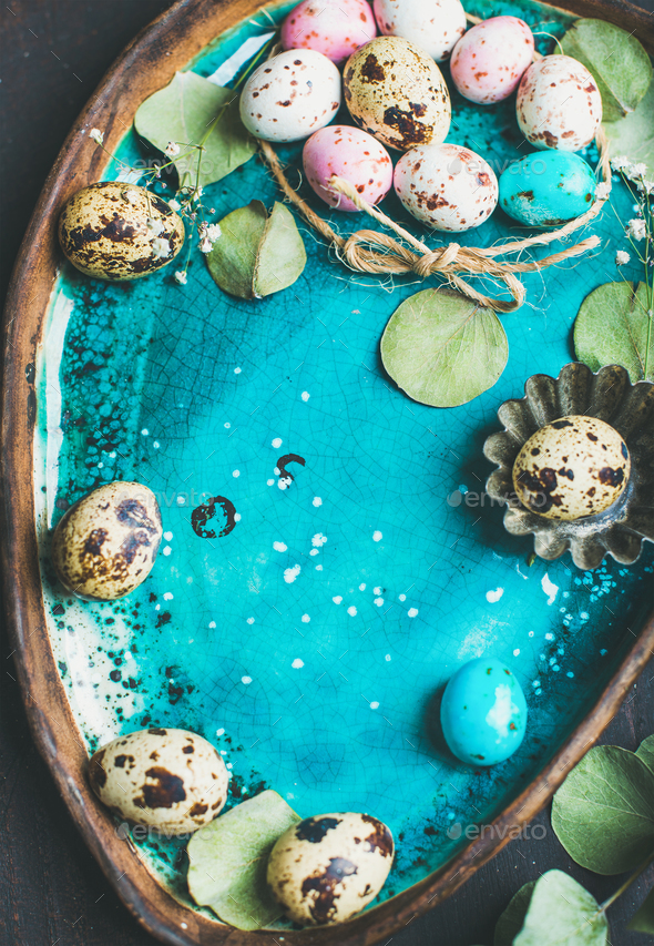 Colorful quail eggs, flowers, leaves for Easter over blue tray - Stock Photo - Images
