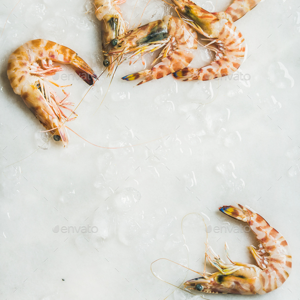 Uncooked tiger prawns on chipped ice, square crop - Stock Photo - Images