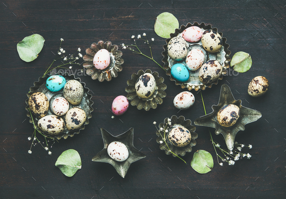 Colorful quail eggs, dried wild flowers and leaves, Easter holiday - Stock Photo - Images