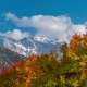 of the Autumn Forest and Colored Trees in the Mountain - VideoHive Item for Sale