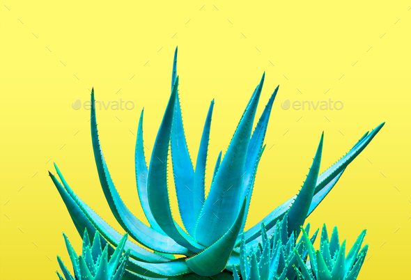 Fashion - Stock Photo - Images