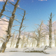 Snowy Forest - VideoHive Item for Sale